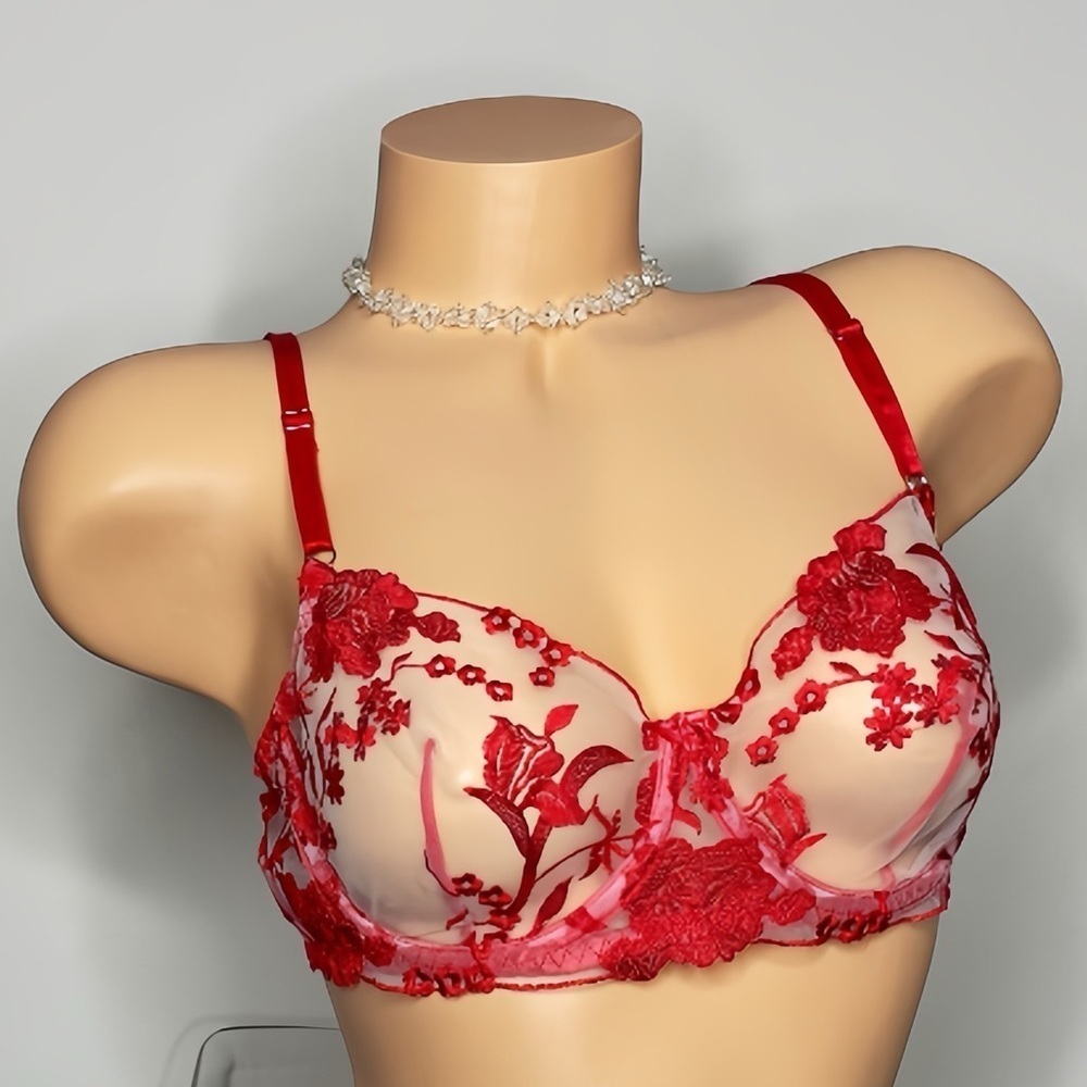 Ruby Red Bra - Picture 4 of 12